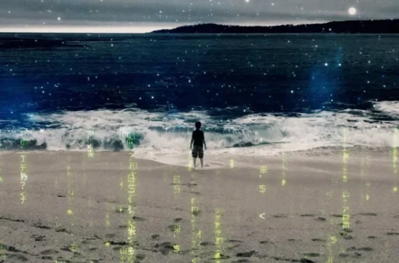 matrix-shell-beach-820x394