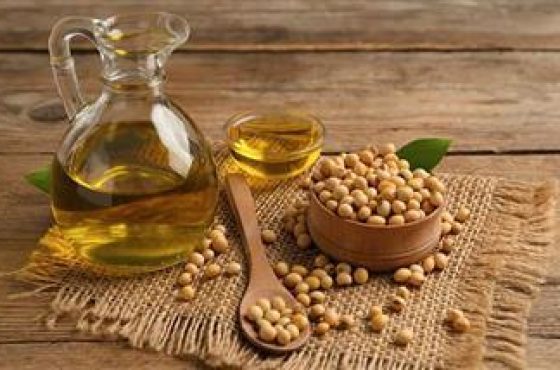 soybean-oil-obesity-link