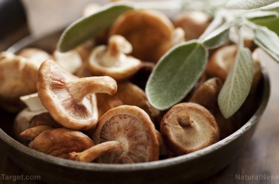 Shitake-Mushrooms-Ready-Cooked-Sage