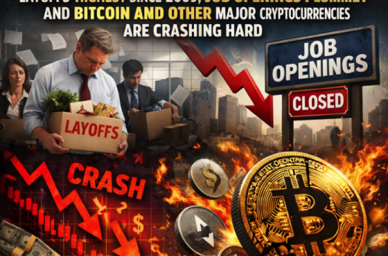 Snip20260205_40-768x768