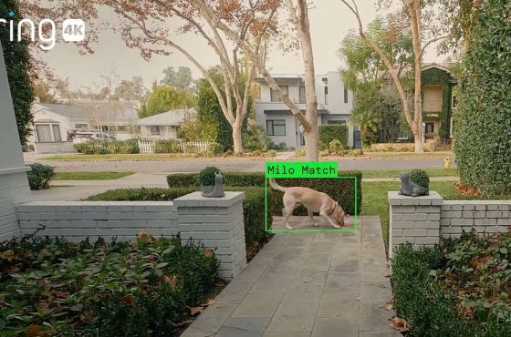 ff302933701827776f0694f54ecc06be301abc0f