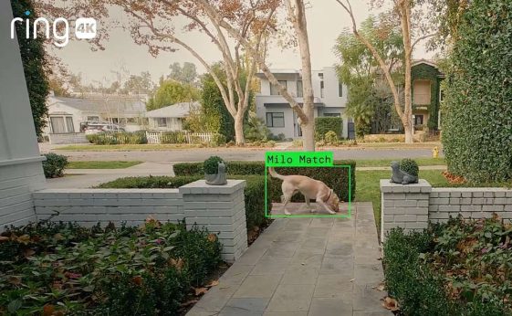 ff302933701827776f0694f54ecc06be301abc0f