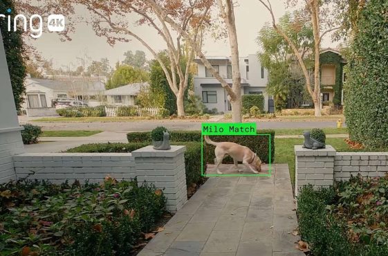 ff302933701827776f0694f54ecc06be301abc0f