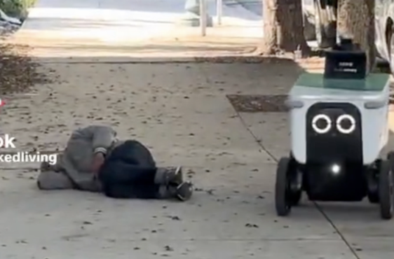 meditations-on-a-delivery-robot-steering-to-avoid-a-homeless-man-on-the-sidewalk