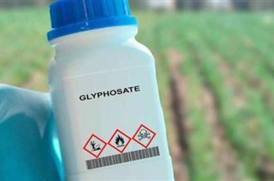 retracted-glyphosate-safety-study-thumb