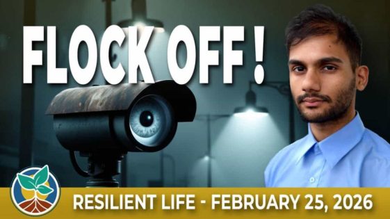 260225-RSL-thumb-1200x675