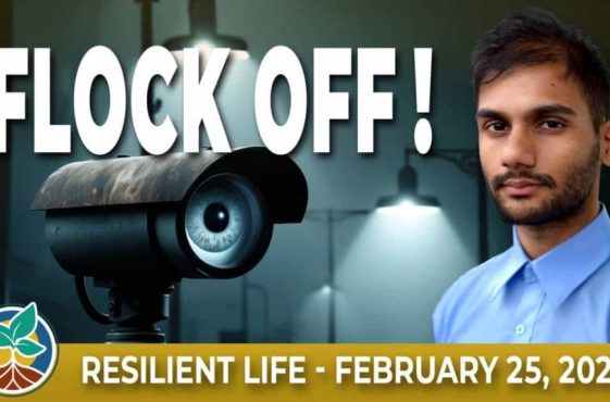 260225-RSL-thumb-1200x675