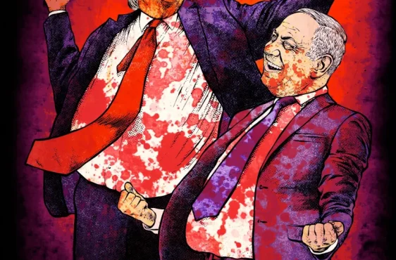 3f5b0826-a95a-4742-b0b3-421965e224e1_3900x4909