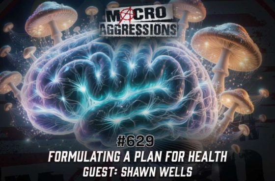 629 - Formulating A Plan For Health - Shawn Wells - ART