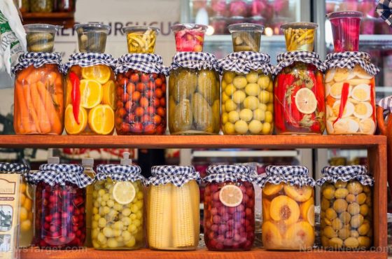 Food-Jar-Pantry-Winter-Canning-Tursu-Mason