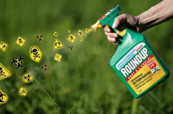 Round-up-Ready-CC-1210x642.jpg