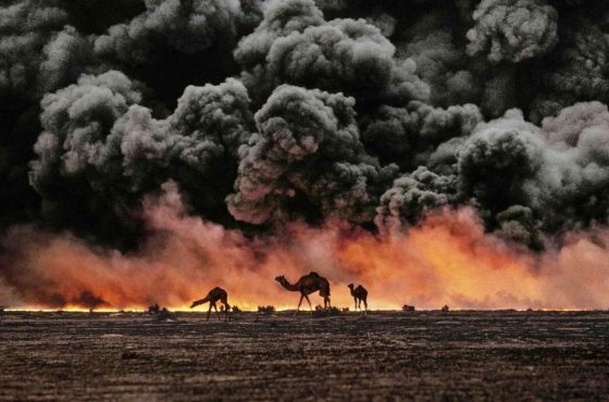 Steve-McCurry-Camels-and-Oil-Fields-Al-Ahmadi-Kuwait-1991-SOL-LDN