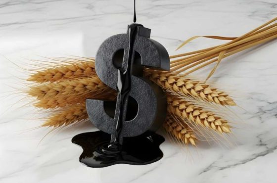 adobestock-oil-wheat-farming-scaled