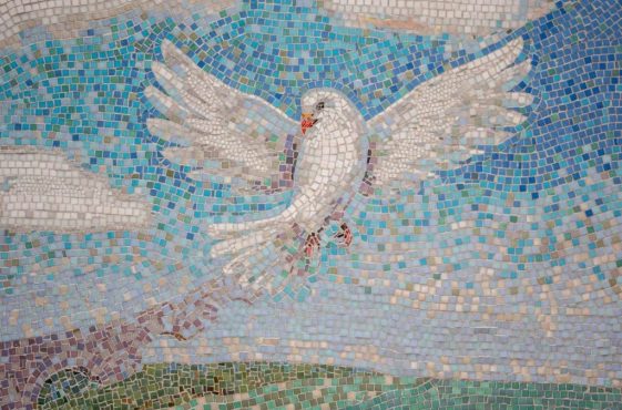 wal_172619-bird-6812884_1920