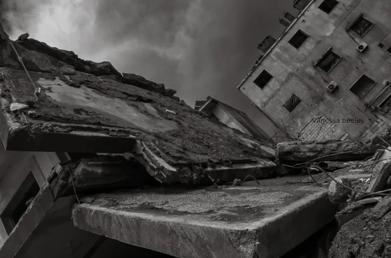 2340435c-4064-4f0b-a912-0227bf3c09e1_2048x1365