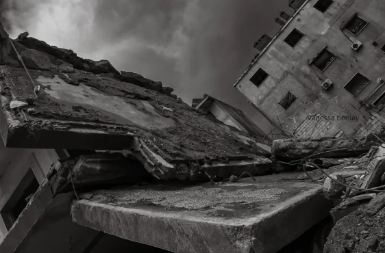 2340435c-4064-4f0b-a912-0227bf3c09e1_2048x1365