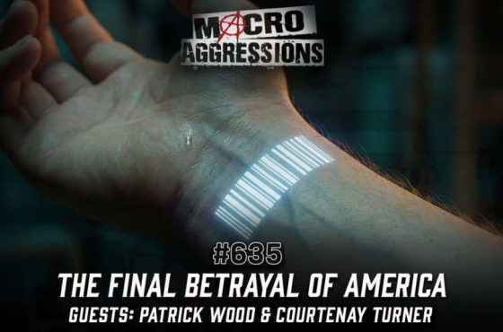 635 - The Final Betrayal of America - PatrickWood_CourtenayTurner - ART
