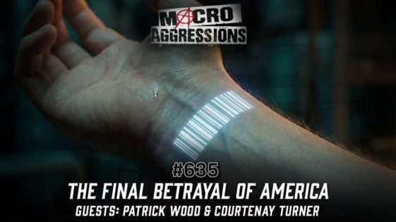 635 - The Final Betrayal of America - PatrickWood_CourtenayTurner - ART