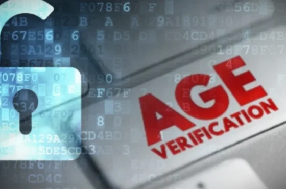 MjIyNzAxMTYwODU3ODcyMjQ2