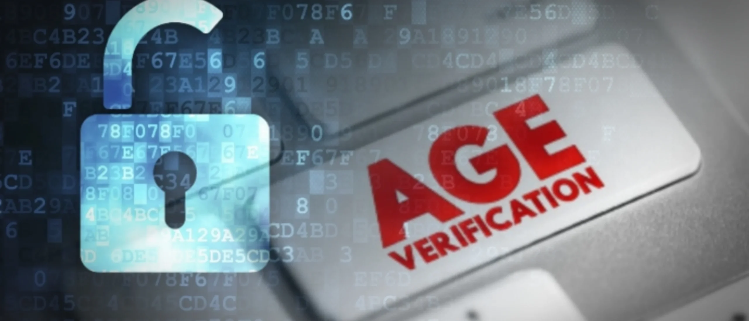 MjIyNzAxMTYwODU3ODcyMjQ2