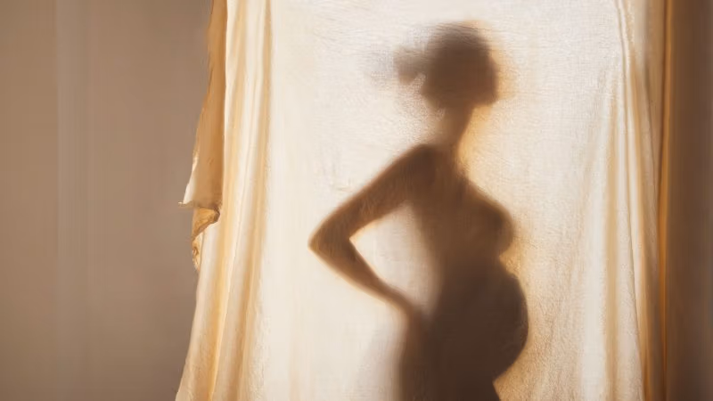 Shutterstock_2322979681-800x450.jpg Shutterstock_2322979681-800x450.jpg