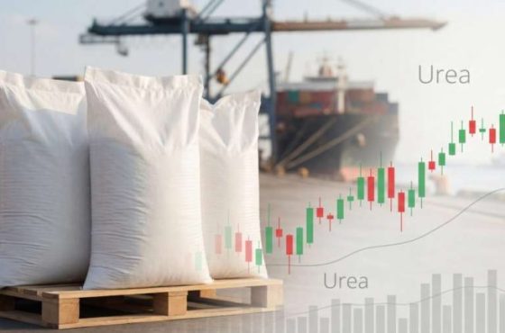 adobestock-fertiliser-urea-shortage-scaled