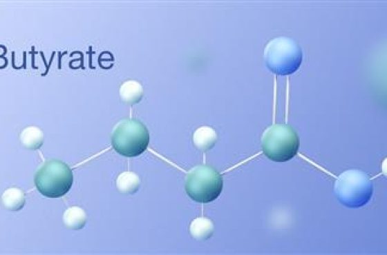 butyrate-immune-system