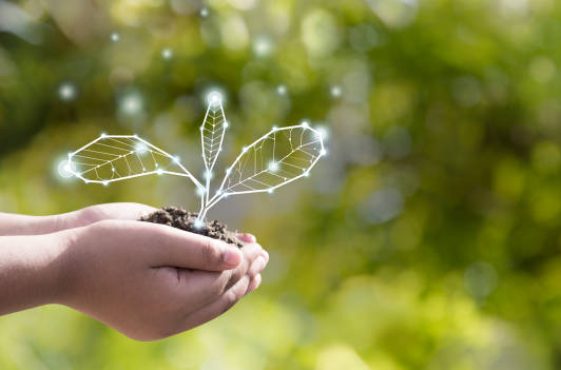 istockphoto-1143046083-612x612