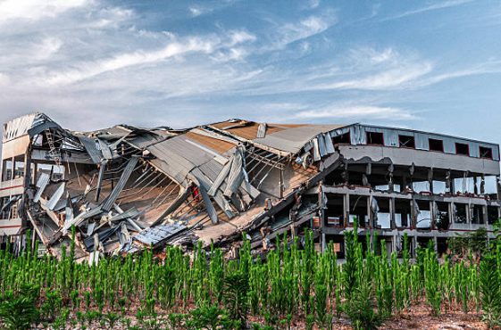Green grass grew in front of the collapsed building