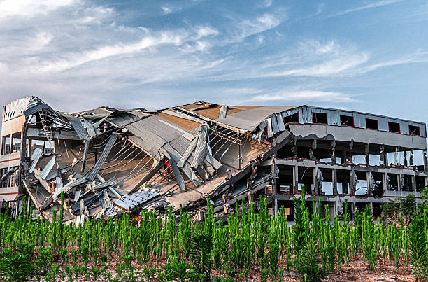 Green grass grew in front of the collapsed building