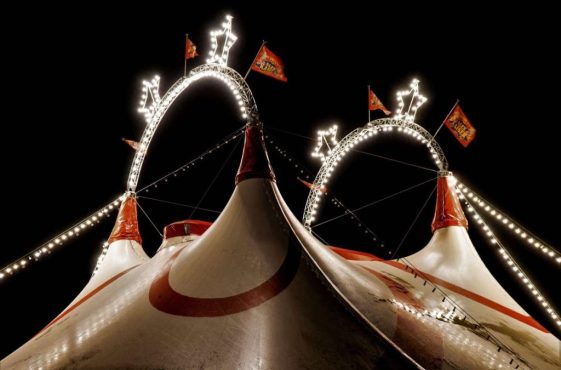 leonhard_niederwimmer-circus-4721247_1920