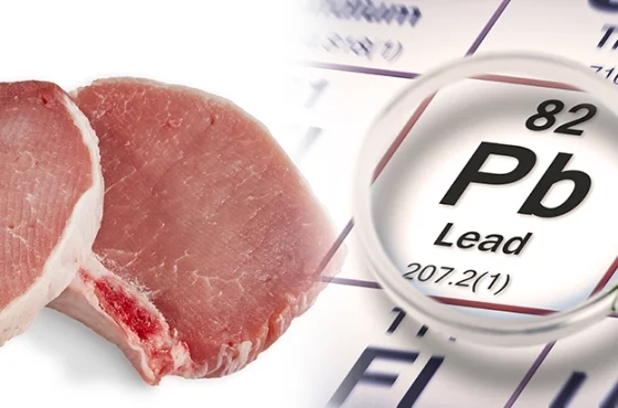 shutterstock_2200217137_1024x412