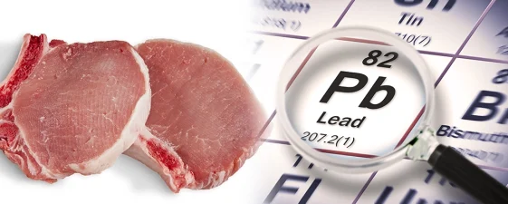 shutterstock_2200217137_1024x412