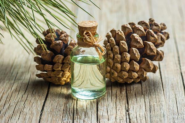 “Terrain: The Workshops” on BrightU: Historical remedy reemerges for modern detoxification and disease reversal