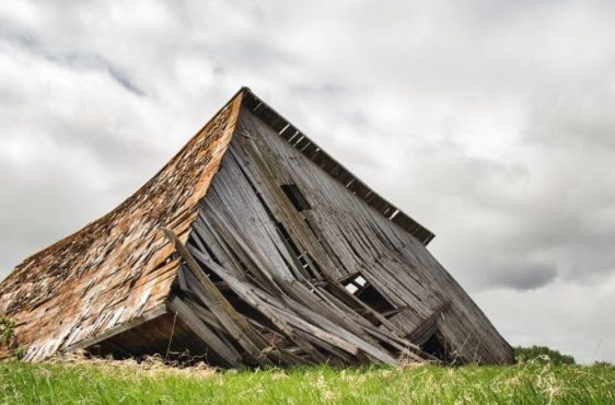 Shutterstock_1719545569-800x450