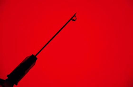 Shutterstock_1987120670-800x450.jpg