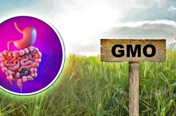 glyphosate-dicamba-leaky-gut-1024x534