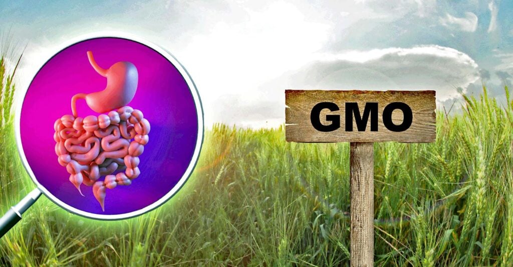 glyphosate-dicamba-leaky-gut-1024x534