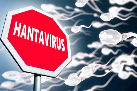 hantavirus-human-sperm-hysteria-1024x534