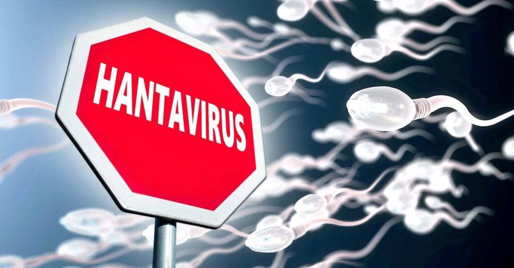 hantavirus-human-sperm-hysteria-1024x534 hantavirus-human-sperm-hysteria-1024x534