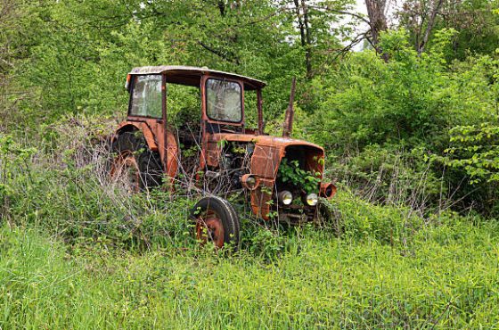 Old rusty vintage abandoned tractor in a field overgrown with tall grass.
