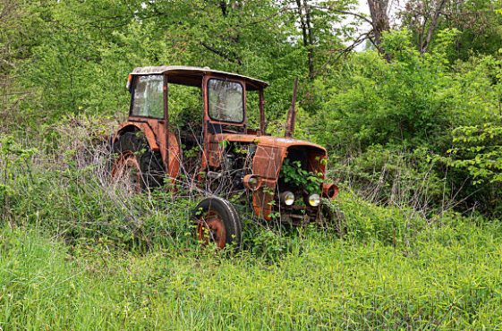 Old rusty vintage abandoned tractor in a field overgrown with tall grass.