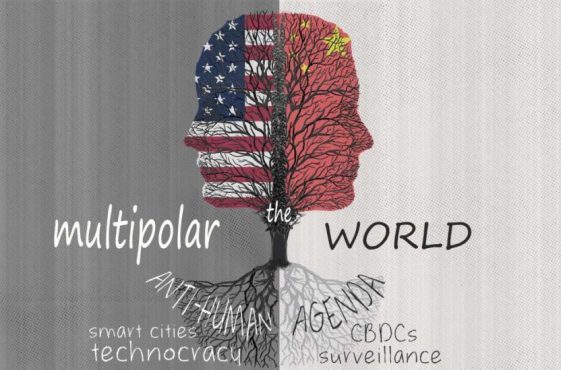 multipolar_banner