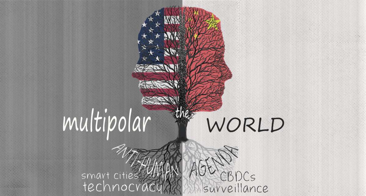 multipolar_banner
