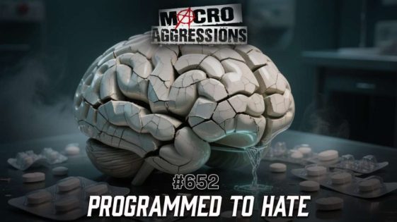 652 - Programmed To Hate - ART