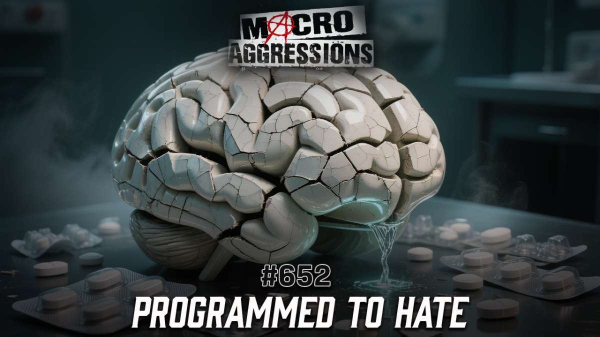 652 - Programmed To Hate - ART 652 - Programmed To Hate - ART
