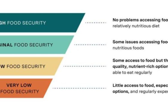 Learn-about-food-insecurity-2