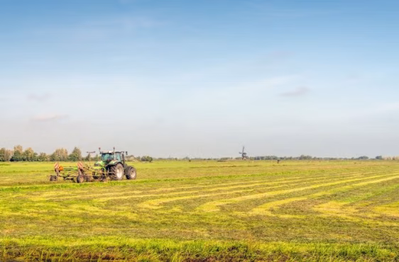 Shutterstock_1194119836-800x450.jpg