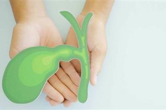 bile-microplastics-thumb