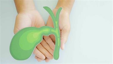bile-microplastics-thumb